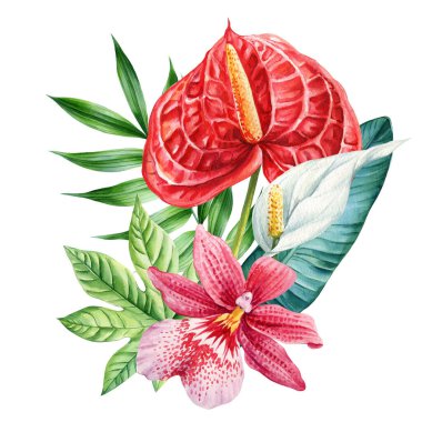 Beyaz spathiphyllum ve tropik yeşil yapraklı pembe orkide çiçekli kırmızı anthurium botanik resimleme. Yüksek kaliteli illüstrasyon