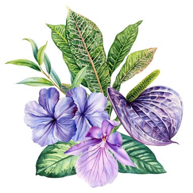 Menekşe orkideli mor anthurium ve egzotik yeşil yapraklı mavi tropikal çiçekler botanik resimli suluboya. Yüksek kaliteli illüstrasyon