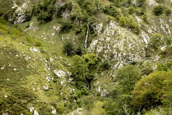 Cascada Delgada Naturaleza Picos Europa León España — Foto de Stock