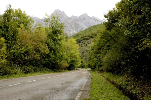 Estrada Para Montanhas Cercadas Por Floresta — Fotografia de Stock