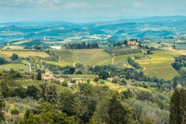 Yuvarlanan tepeleri, üzüm bağları ve çiftlik evleri ile Toskana kırsalında ortaçağdan kalma San Gimignano, Siena, Toskana, İtalya 'da görüldü..