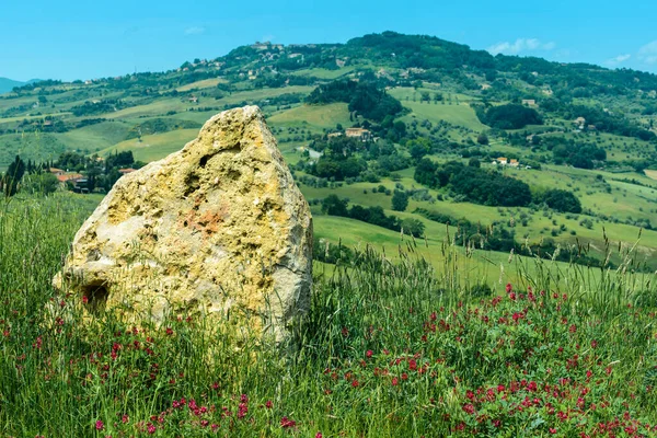 Uma Rocha Cercada Por Grama Flores Silvestres Com Paisagem Toscana — Fotografia de Stock
