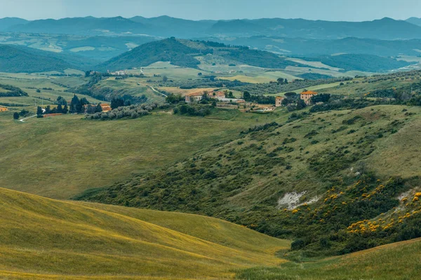 Campos Típicos Toscana Com Papoilas Colinas Ondulantes Perto Borgo Roncolla — Fotografia de Stock