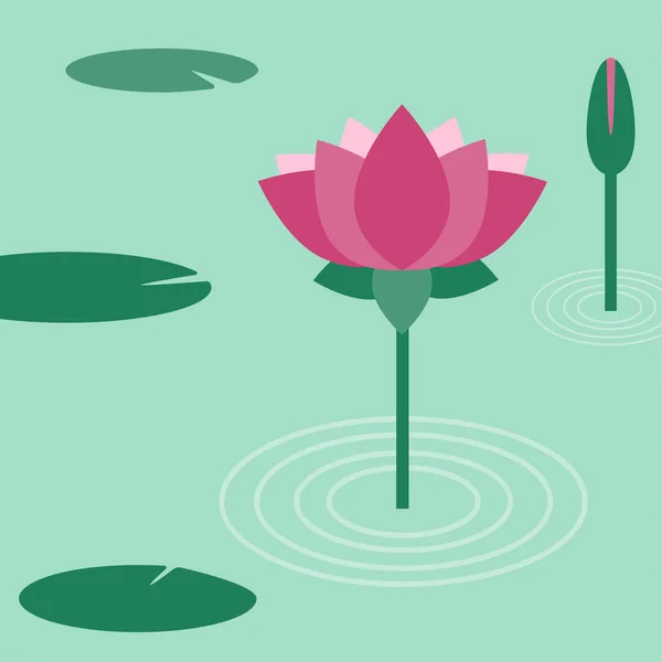 Lotus çiçeği. Vektör düz çizim.