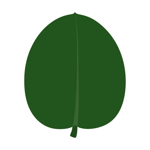 Small green tropical leaf. Isolated on white. Vector flat illustration. — Stock Vector