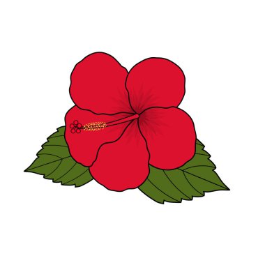 Yapraklı kırmızı amber çiçeği. Beyaz arka planda izole edilmiş. Vektör illüstrasyonu.