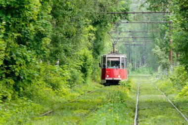 Tramvay ormanın içinden geçiyor.