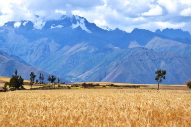Urubamba Vadisi 'ndeki manzara