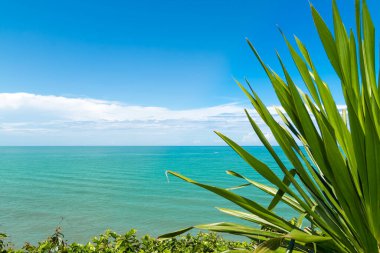 Koh Proet Adası, yeşil yapraklar zümrüt yeşili deniz ve berrak gökyüzü. Koh Proet Adası, Chanthaburi, Tayland