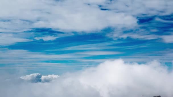 昼間は青空に白い雲が広がり、雲がタイムラプス。青い空の時間の経過。自然の天気青い空。白い雲の背景。雲の時間経過自然背景 — ストック動画