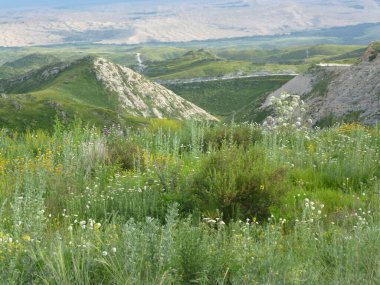  Markakol 'un doğası