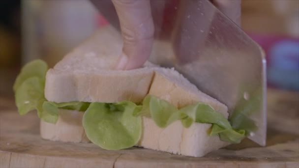 Chiudi Colpo Cuoco Tagliare Sandwich — Video Stock