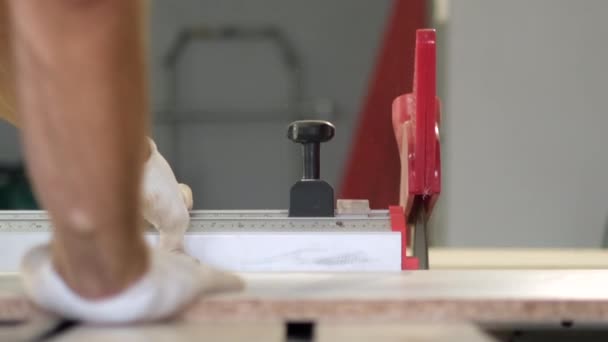 Proces Produkcji Drewnianych Mebli Wiórowych Deski Krojenia Ustaw Krawędzie Robią — Wideo stockowe