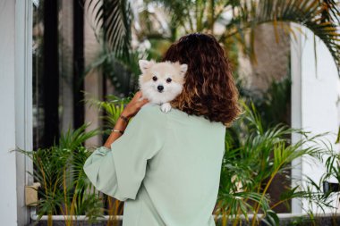 Avrupalı kıvırcık tenli kadının açık hava portresi mutlu köpekli pomeranian spitz tutuyor. Elinde gümüş bilezik var. Güzel beyaz tüylü köpek yavrusuyla vakit geçirmek. Evcil hayvanlarla mutlu anlar. Egzotik arkaplan.