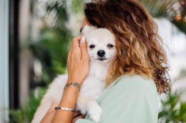 Avrupalı kıvırcık tenli kadının açık hava portresi mutlu köpekli pomeranian spitz tutuyor. Elinde gümüş bilezik var. Güzel beyaz tüylü köpek yavrusuyla vakit geçirmek. Evcil hayvanlarla mutlu anlar. Egzotik arkaplan.