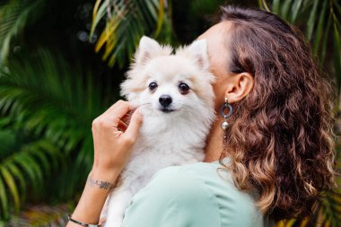 Avrupalı kıvırcık tenli kadının açık hava portresi mutlu köpekli pomeranian spitz tutuyor. Elinde gümüş bilezik var. Güzel beyaz tüylü köpek yavrusuyla vakit geçirmek. Evcil hayvanlarla mutlu anlar. Egzotik arkaplan.