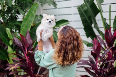 Avrupalı kıvırcık tenli kadının açık hava portresi mutlu köpekli pomeranian spitz tutuyor. Elinde gümüş bilezik var. Güzel beyaz tüylü köpek yavrusuyla vakit geçirmek. Evcil hayvanlarla mutlu anlar. Egzotik arkaplan.