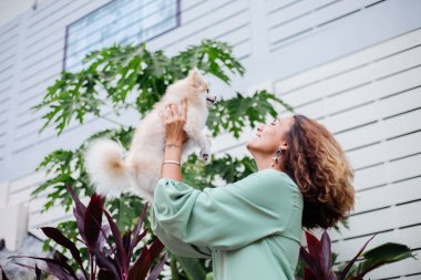 Avrupalı kıvırcık tenli kadının açık hava portresi mutlu köpekli pomeranian spitz tutuyor. Elinde gümüş bilezik var. Güzel beyaz tüylü köpek yavrusuyla vakit geçirmek. Evcil hayvanlarla mutlu anlar. Egzotik arkaplan.