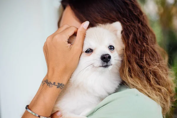 Відкритому Портреті Кучерявої Європейської Засмаглої Жінки Зберігається Щасливий Собака Пес — стокове фото