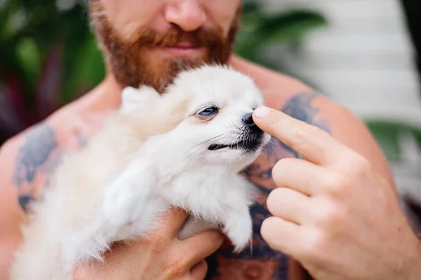 Young handsome bearded brutal tattooed happy man holds pomeranian spitz, playing with lovely pet. Male spending time outside in park with cute fluffy dog puppy. Tropical exotic background.