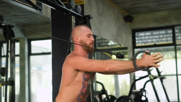 Espalda Brazos Entrenamiento Atleta Fuerte Musculatura Fitness Hombre Tatuado Atlético — Vídeos de Stock