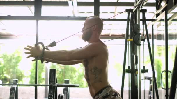 Espalda Brazos Entrenamiento Atleta Fuerte Musculatura Fitness Hombre Tatuado Atlético — Vídeos de Stock