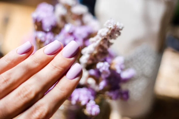 Mooie Paarse Licht Zachte Manicure Bacground Van Violet Roze Paars — Stockfoto