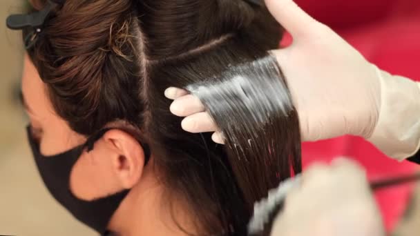 Girl Hairdresser Makes Client Keratin Hair Straightening Using Straightener Iron — Stock Video