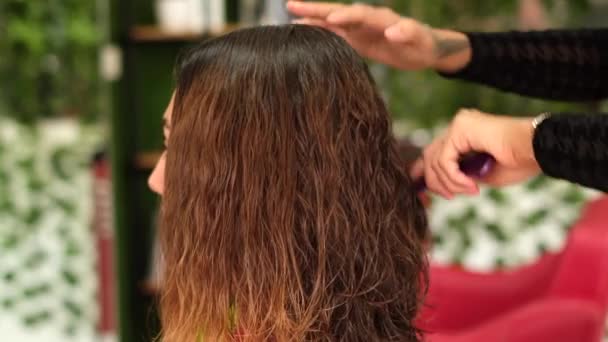 Bir Kız Kuaför Müşteriye Keratin Saç Düzleştirici Yapar Kız Güzellik — Stok video