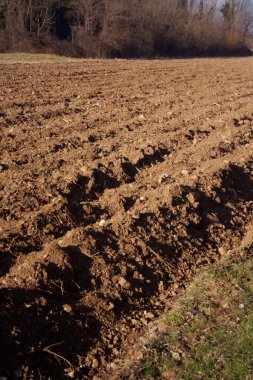 İtalya kırsalında mavi gökyüzüne karşı yeni sürülmüş bir tarla. Kış mevsiminde tarım arazisi