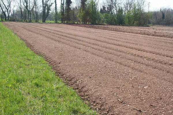 Plowed Sowed Field Italian Countryside Springtime Agricultural Landscape Italy — Stock Photo, Image