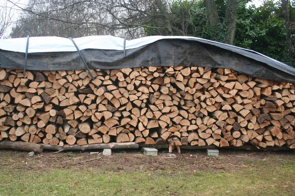 Großes Holzlager Mit Brennholz Garten Bereit Für Die Wintersaison Holzstapel — Stockfoto