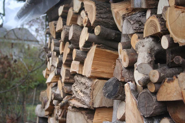 Großes Holzlager Mit Brennholz Garten Bereit Für Die Wintersaison Holzstapel — Stockfoto