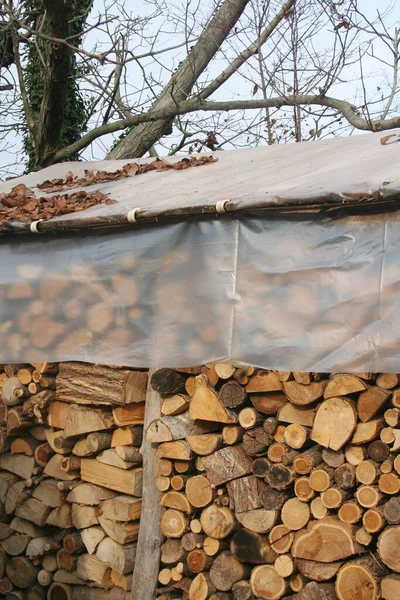 Großes Holzlager Mit Brennholz Garten Bereit Für Die Wintersaison Holzstapel — Stockfoto