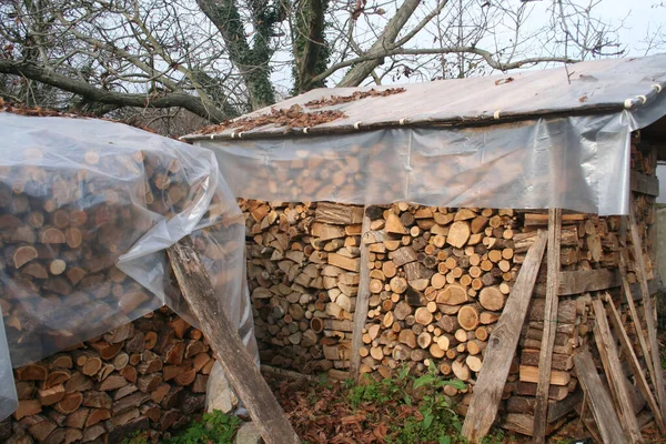 Großes Holzlager Mit Brennholz Garten Bereit Für Die Wintersaison Holzstapel — Stockfoto