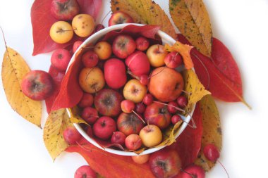Beyaz bir kasedeki kırmızı ve sarı elmalar kırmızı ve sarı yapraklarla izole edilmiş. Sonbahar arkaplanı