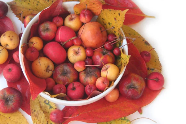 Kleine Rote Und Gelbe Äpfel Einer Weißen Schale Isoliert Auf — Stockfoto