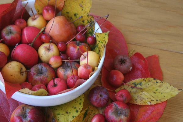 Kleine Rote Und Gelbe Äpfel Einer Weißen Schüssel Auf Einem — Stockfoto