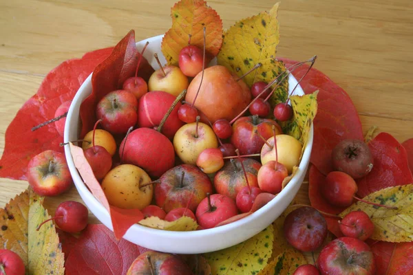 Kleine Rote Und Gelbe Äpfel Einer Weißen Schüssel Auf Einem — Stockfoto