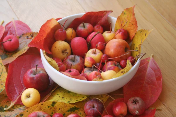 Kleine Rote Und Gelbe Äpfel Einer Weißen Schüssel Auf Einem — Stockfoto