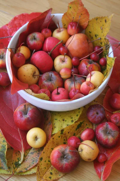 Kleine Rote Und Gelbe Äpfel Einer Weißen Schüssel Auf Einem — Stockfoto