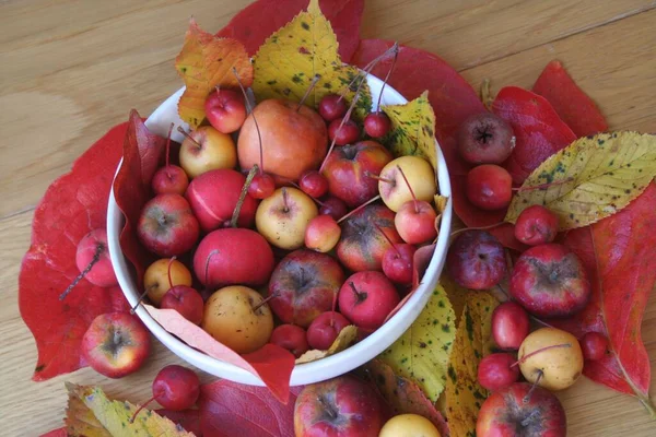 Kleine Rote Und Gelbe Äpfel Einer Weißen Schüssel Auf Einem — Stockfoto