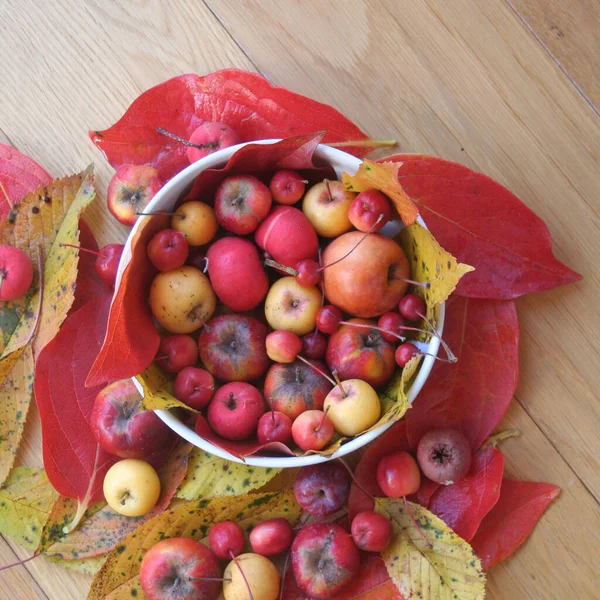 Kleine Rote Und Gelbe Äpfel Einer Weißen Schüssel Auf Einem — Stockfoto