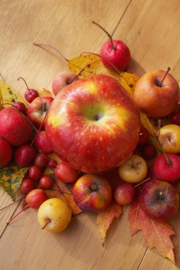 Seçici odak üzerinde sonbahar arka planı. Süslü kırmızı ve sonbahar yapraklı sarı elmalar