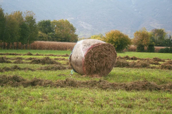 Hay Bale Harvested Meadow Northern Italy Agricultural Field Autumn — Stock Photo, Image