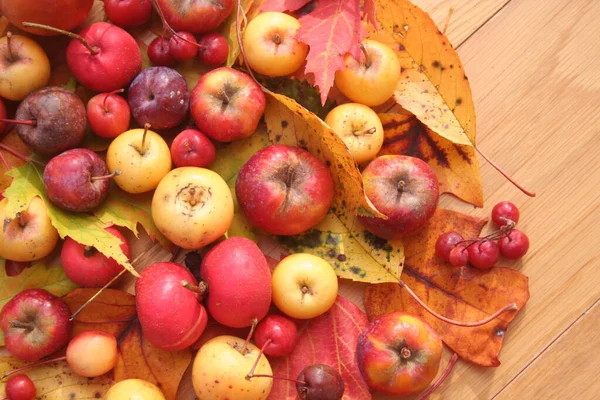 Herbst Hintergrund Über Selektive Fokussierung Zierliche Rote Und Gelbe Äpfel — Stockfoto