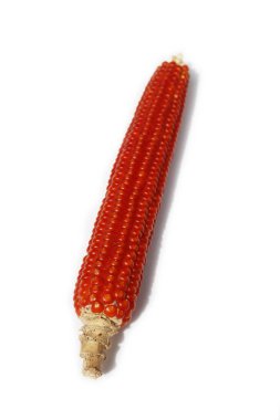 Beyaz zemin üzerinde kırmızı mısır izole