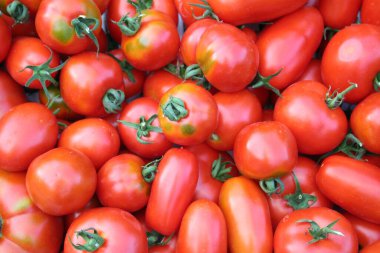 Kırmızı yuvarlak ve uzun taze domates deseni. Yaz sebzeleri