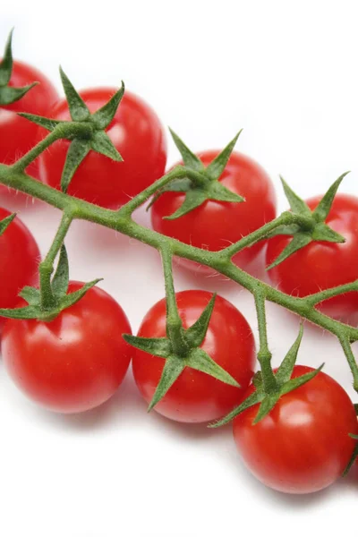 Czerwone Zielone Pomidory Wiśniowe Gałęzi Izolowane Białym Tle — Zdjęcie stockowe