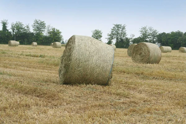 Bale Słomkowe Terenie Krajobraz Rolny Lecie — Zdjęcie stockowe